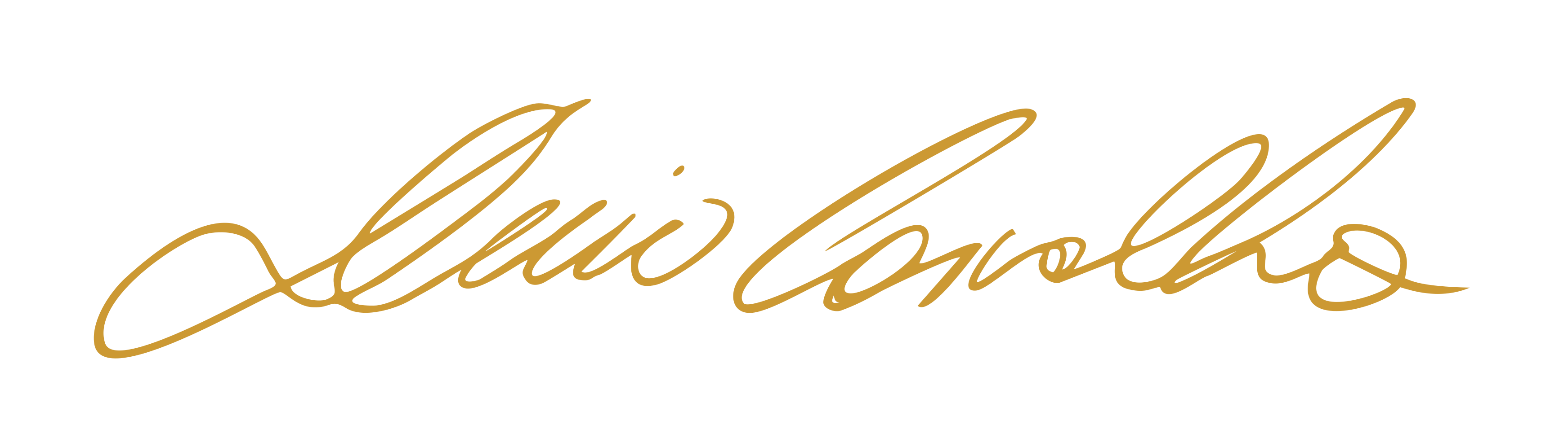 Dr. Décio Carvalho's signature