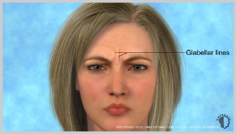 Botulinum-toxin-ANATOMY